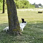 La Cascinetta * Pieve di Cento