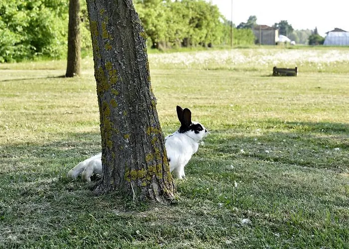 La Cascinetta * Пьеве-ди-Ченто